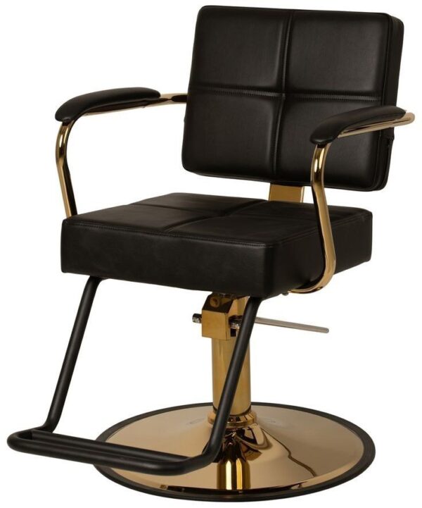Barber/Salon chairs