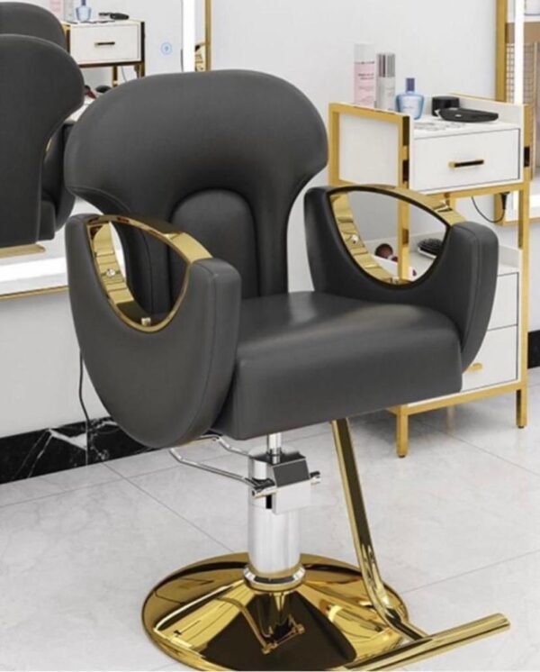 Barber/Salon chairs