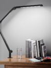 LED Desk Light