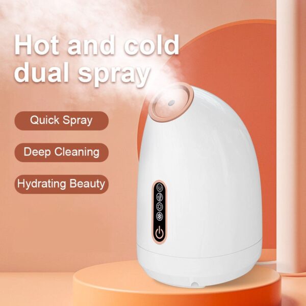 Face Steamer